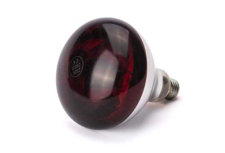 HENDI Infraraudonųjų spindulių lempa, Raudona, 230V/250W