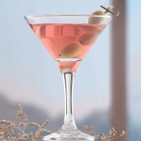 FINE DINE Martini taurės Sofia, 175 ml, 12 vnt LH-SOF518KH | E-gastro