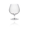 FINE DINE Taurės Edition, 400 ml, 6 vnt 62011800 | E-gastro