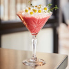 FINE DINE Kokteilių taurės Broadway, 210 ml, 6 vnt P8795 | E-gastro