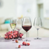 FINE DINE Vyno taurės Favourite Optical, 430 ml, 6 vnt 7361/1P430 | E-gastro