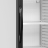 TEFCOLD Gėrimų šaldytuvas CEV425CP 2 LED