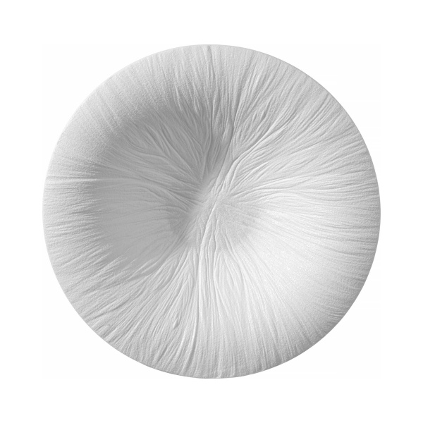 FINE DINE Makaronų lėkštė Fiord, ø290 mm, 3 vnt. 788554 | E-gastro