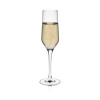 FINE DINE Šampano taurės Martina, 220 ml, 6 vnt 61030700 | E-gastro