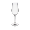 FINE DINE Vyno taurės Edition, 255 ml, 6 vnt 60502200 | E-gastro