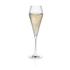 FINE DINE Šampano taurės Edge, 220 ml, 6 vnt 68290900 | E-gastro