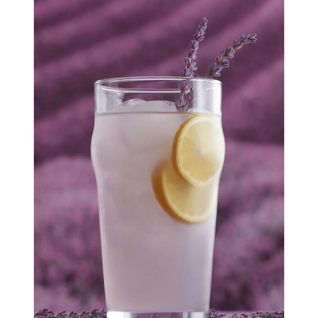 FINE DINE Alaus stiklinės Berlin, 570 ml, 12 vnt LH-BRN357KH | E-gastro