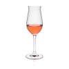FINE DINE Vyno taurės Edition, 255 ml, 6 vnt 60502200 | E-gastro