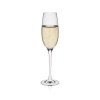 FINE DINE Šampano taurės Edition, 150 ml, 6 vnt 60500700 | E-gastro