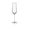 FINE DINE Šampano taurės Invitation, 180 ml, 6 vnt 62650700 | E-gastro