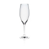 FINE DINE Šampano taurės Edition, 230 ml, 6 vnt 60500900 | E-gastro