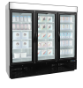 TEFCOLD Vitrininis Šaldiklis NF7500G