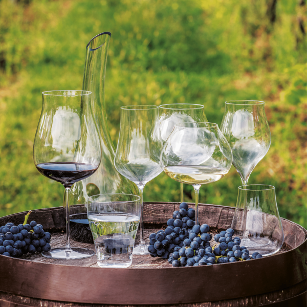 FINE DINE Taurės Linea Umana, 500 ml, 6 vnt 72873900 | E-gastro